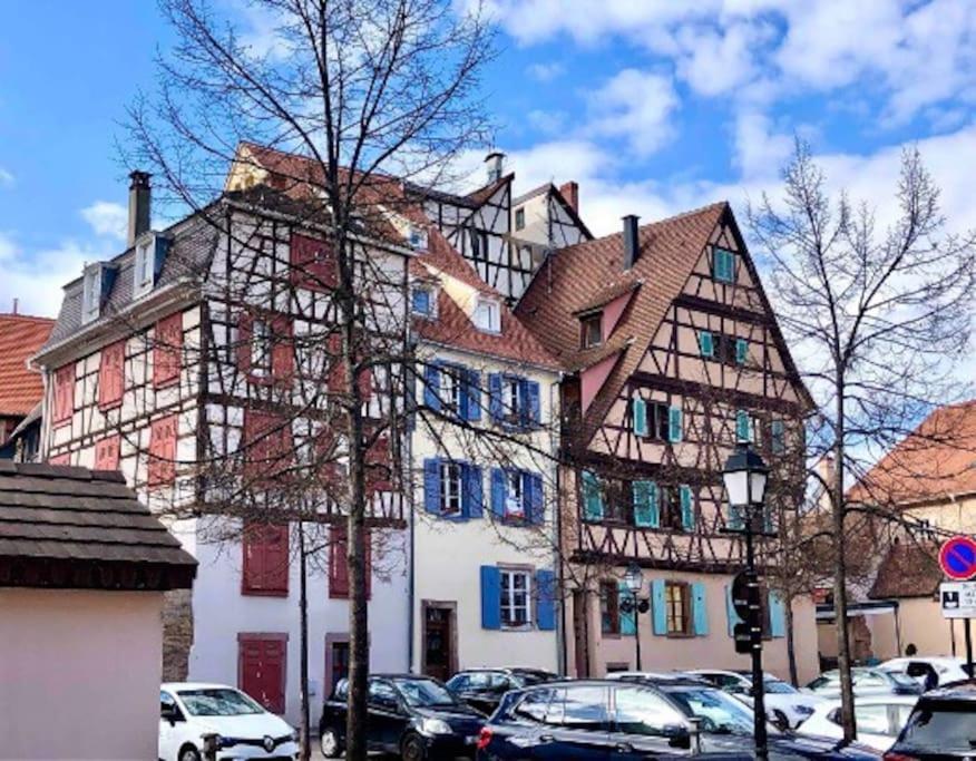 La Vie En Rose Appartement